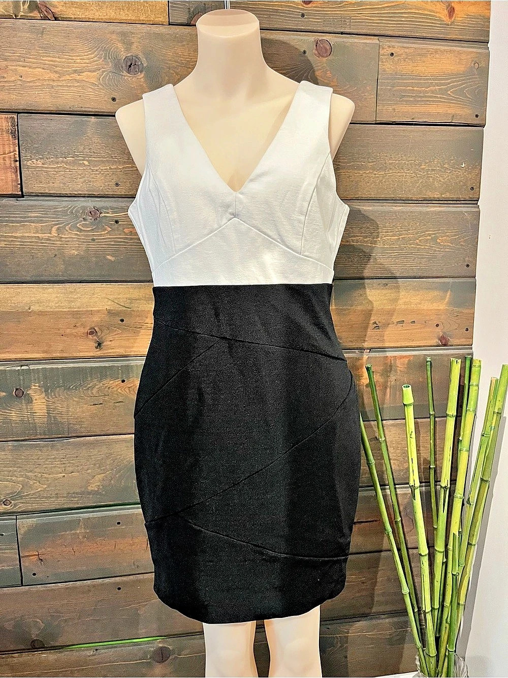 Color Block Mini Dress